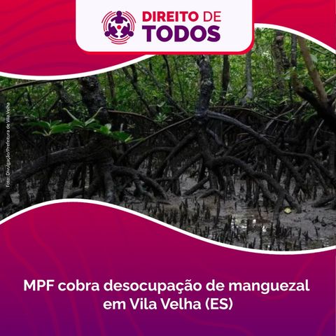 #152 - Direito de Todos