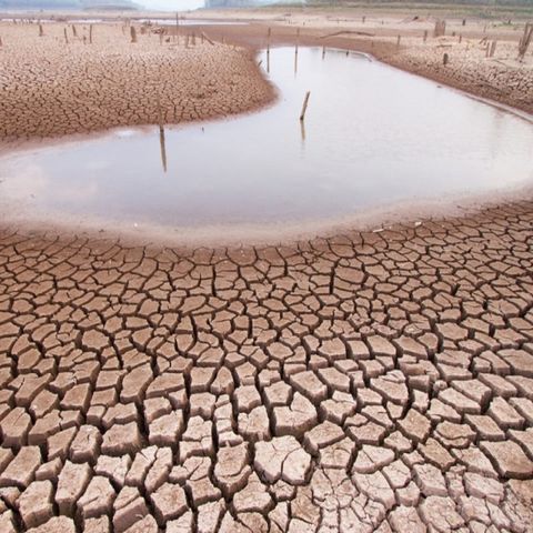 Declaran desastre natural por sequía a 48 municipios de Chihuahua