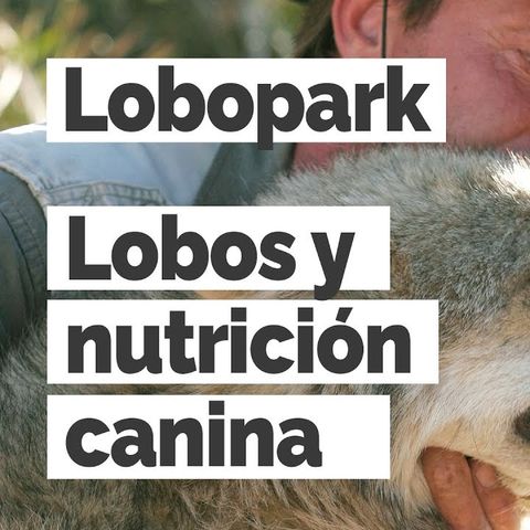 Lobos y nutrición canina