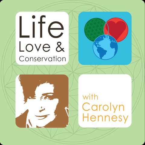 Life Love and Conservation with Carolyn Hennesy EP 3 - 500th Episode on General Hospital & New Orleans