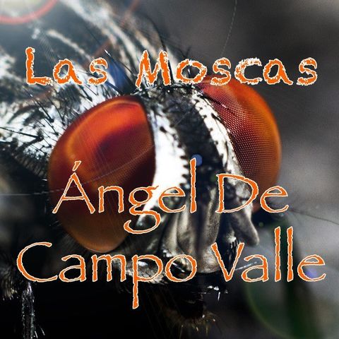 "Las moscas" by Ángel De Campo Valle