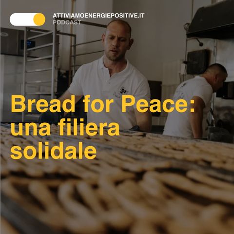 Bread for Peace: una filiera solidale