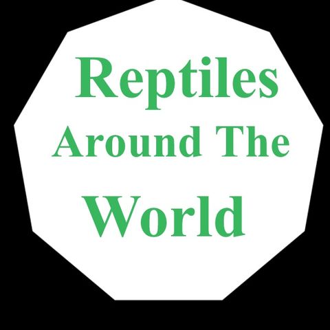Reptiles around the world episode 3