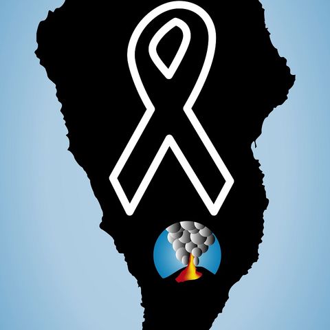 Relaciones afectivas, solidaridad y viajes - 7 Días X Delante 20092021