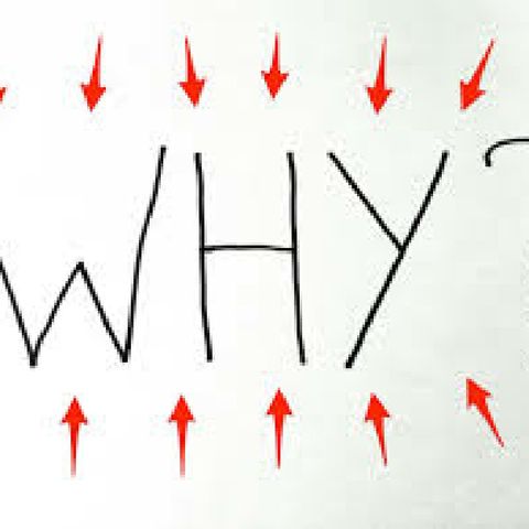 Question Of The Day /// (The Power Of "Why")