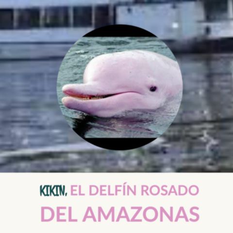 Cuento infantil ecológico: Kikin el delfin rosado del Amazonas - Temporada 7 - Episodio 3