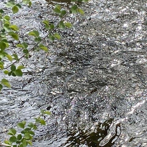 Reclaiming Clarity