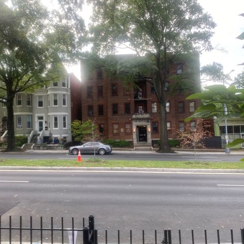 Trees in NW Rhode Island Avenue NW