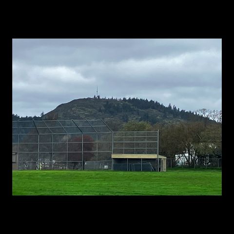 Lambrick Park Revisited