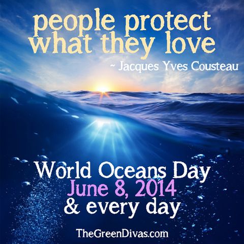 World Oceans Day 2014