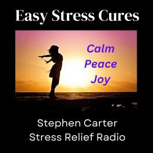 Easy Steps to Emotional Calm