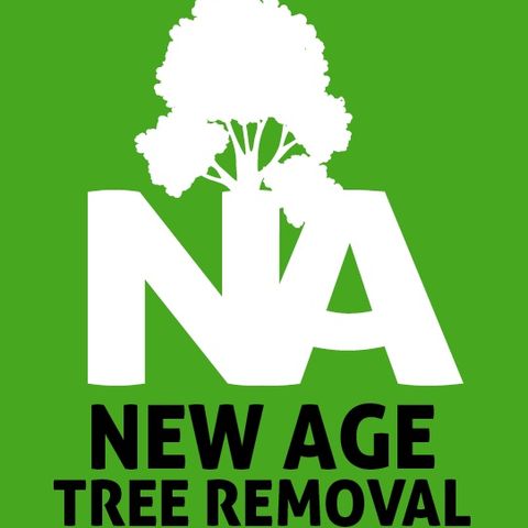 Tree Removal Miramar | Fort lauderdale Tree Removal | Tree Service