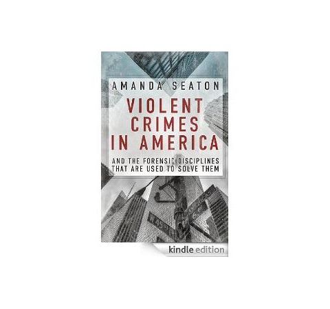 VIOLENT CRIMES IN AMERICA-Amanda Seaton