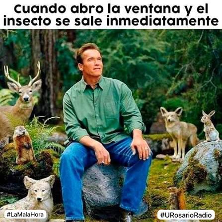 Buenos días, mi nombre es Rusell, soy un guía explorador