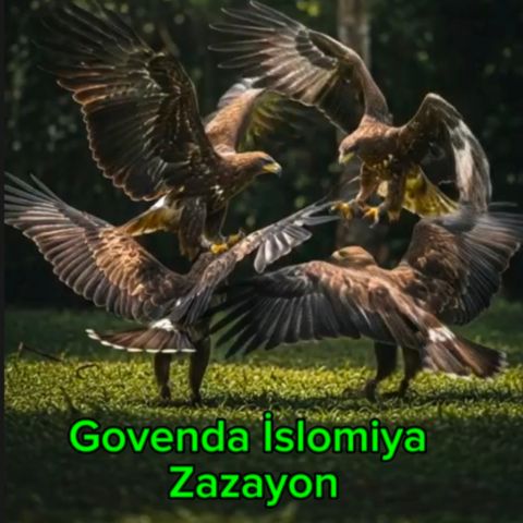 Govenda İslomi 5
