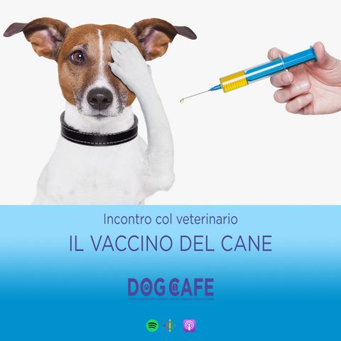 #078 - INCONTRO COL VETERINARIO - Il vaccino del cane.