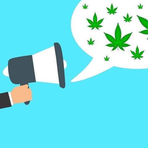 Una legge per l'autoproduzione di cannabis, firma l'appello!