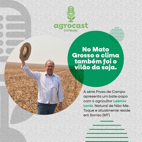 Prosa de Campo – “No Mato Grosso o clima também foi o vilão da soja”