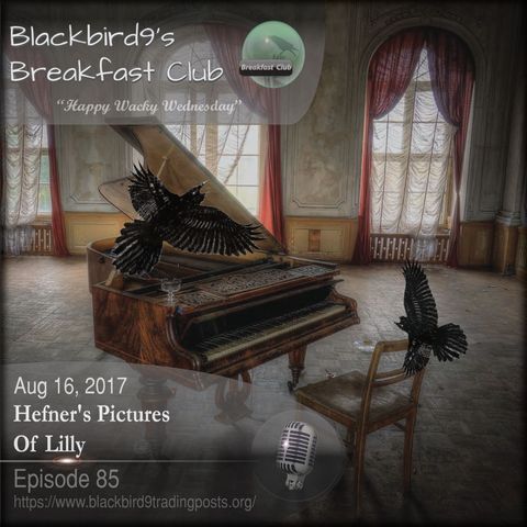 Hefner's Pictures Of Lilly - Blackbird9 Podcast