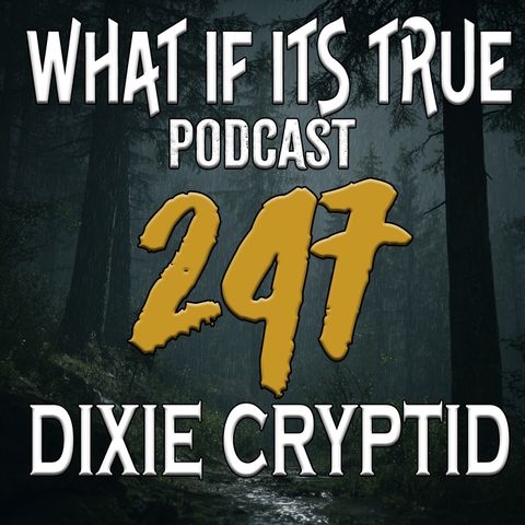 Archive 247 Ohio Dogman and Other Horror Stories