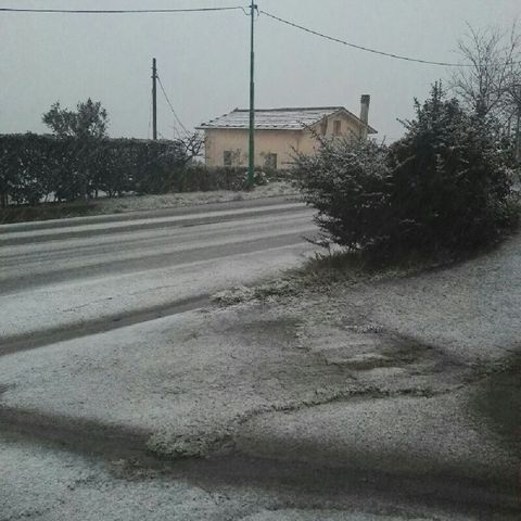 NEVE PORTAMI DA LEI