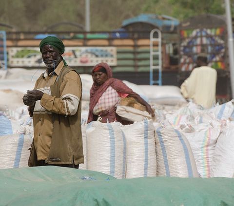 In Sudan la tutela del suolo passa dalla gomma