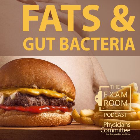 Fat & Gut Bacteria