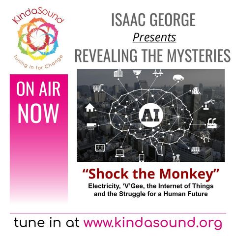 Shock the Monkey | Revealing the Mysteries with Isaac George