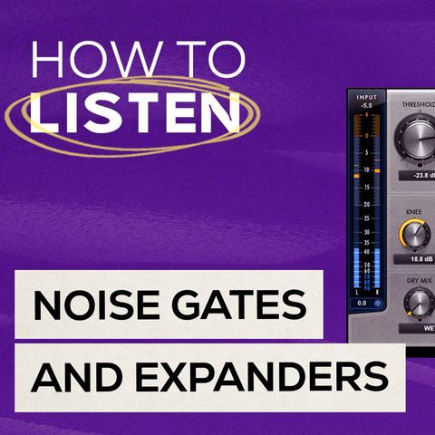 Noise gates and expanders