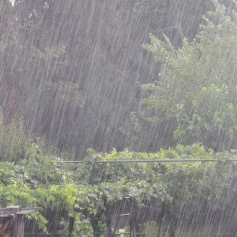 Precipitazioni diffuse, temporali e venti forti: la protezione civile dirama l’allerta gialla