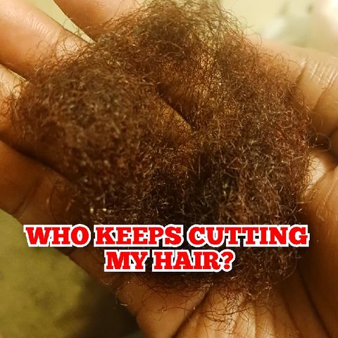 Episode 24⚠️ WHO KEEPS CUTTING MY HAIR?Warning Emotional Release Hello Life