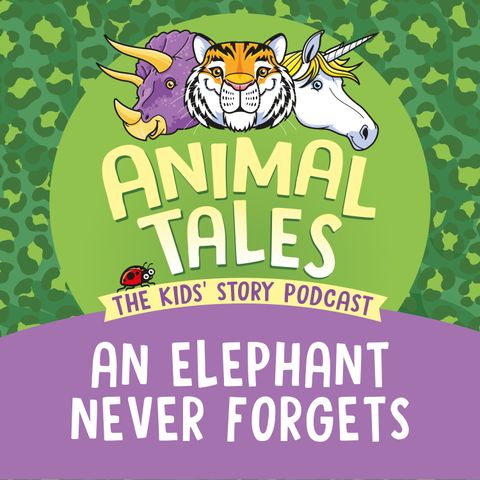 An Elephant Never Forgets
