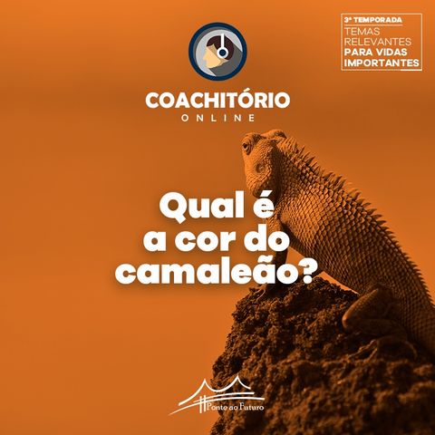 Qual é a Cor do Camaleão?