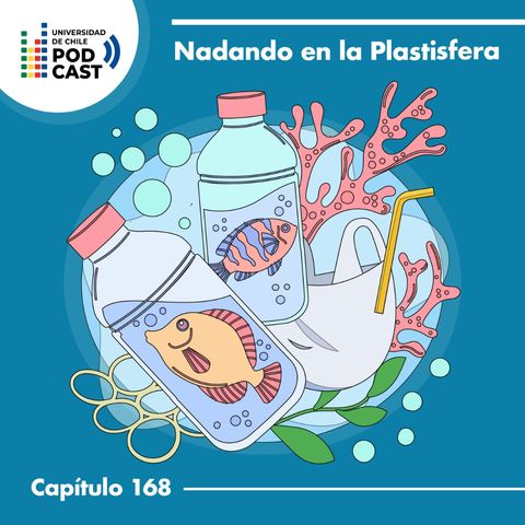 Nadando en la Plastisfera