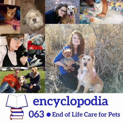 063. End of Life Care for Pets with Dr. Allison Bergin
