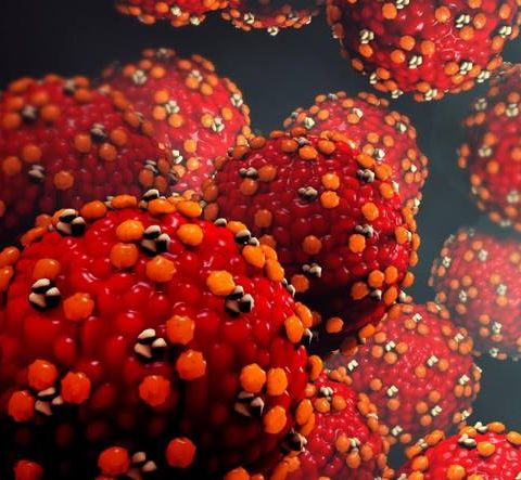 #40 Non solo Coronavirus: come il cambiamento climatico condizionerà le epidemie