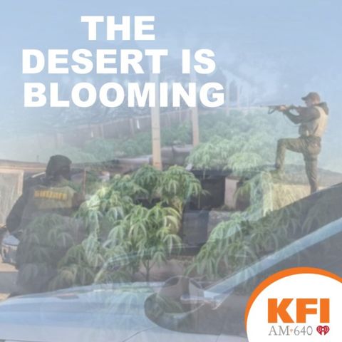 The Desert Is Blooming Part 2