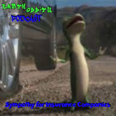 Earth Oddity 224: Sympathy for Insurance Companies