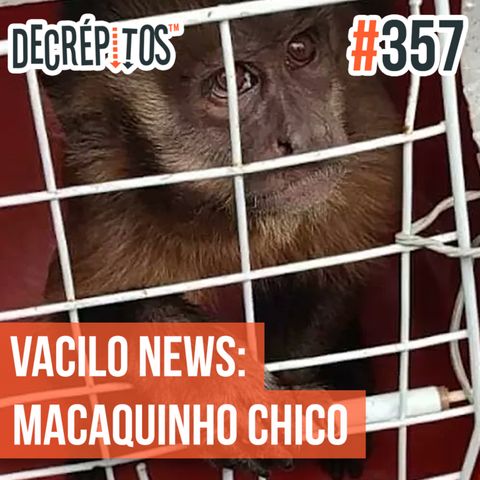 Decrépitos 357 - VACILO NEWS: Macaquinho Chico