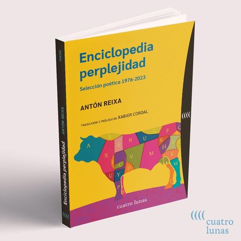 ENCICLOPEDIA PERPLEXIDADE