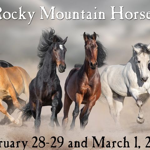 Countyfairgrounds presents Rocky Mountain Horse Expo