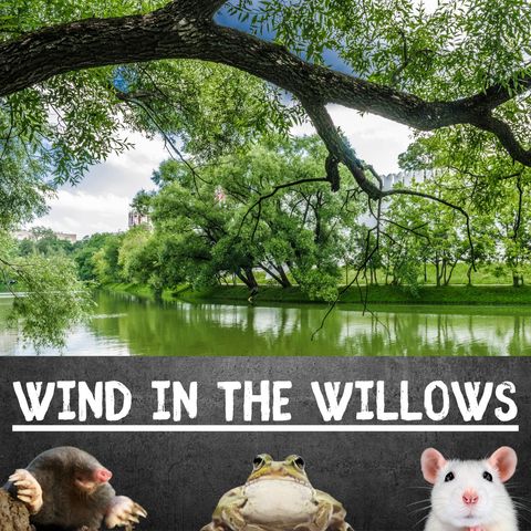 6 - Mr. Toad - The Wind in the Willows