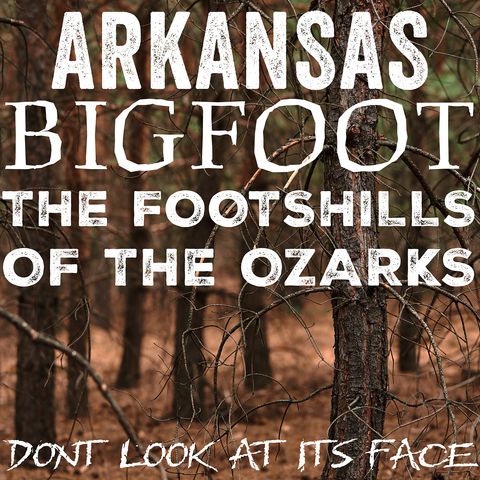 BIGFOOT ENCOUNTERS IN THE FOOTHILLS OF THE OZARKS (ARKANSAS) IT HAD HAIR COVERING ITS FACE!!!