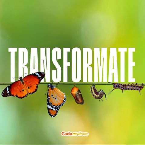 Transformarte