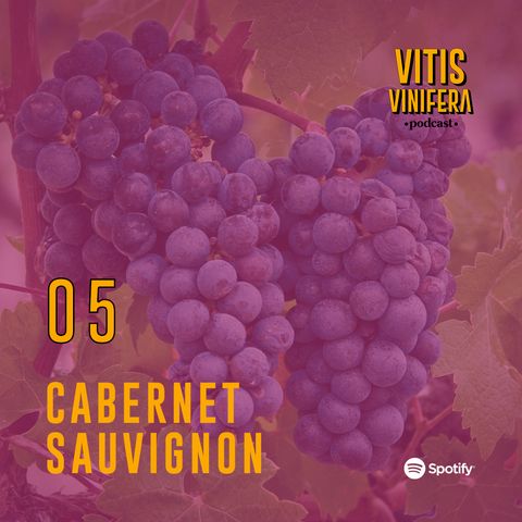 #5 Cabernet Sauvignon