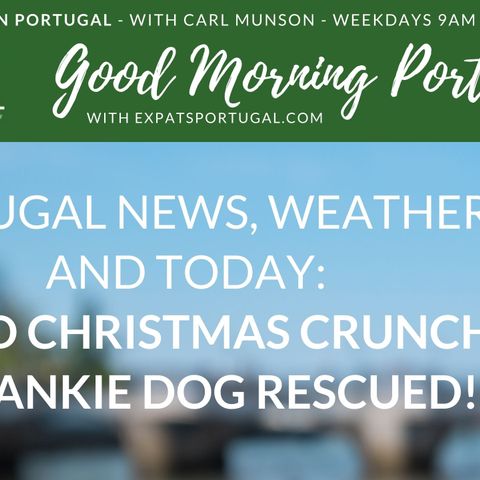 Bad news & good news: Covid Christmas crunch & Frankie the blind bear-dog rescued!