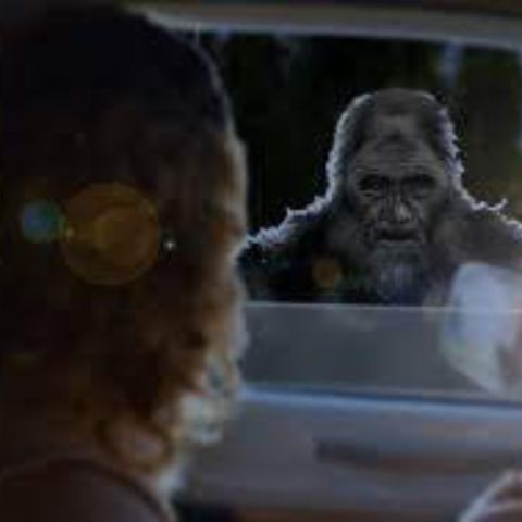 I saw IT through the car window. Shapeshifting Creatures & they were going to kill something!!
