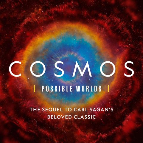 Ann Druyan Releases The Book Cosmos Possible Worlds