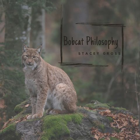 Bobcat Philosophy