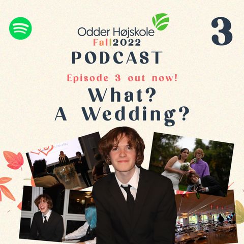 Episode 3 - What? A Wedding?